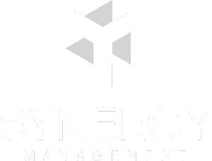 Synergy Logo